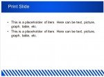 Free Blue zebra powerpoint template presentation slide-2