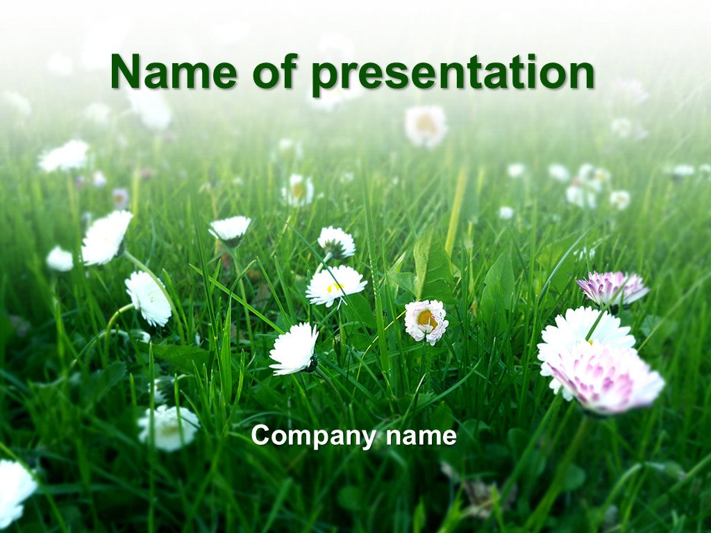 Download free Green Spring PowerPoint template for your presentation
