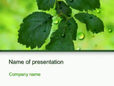 Free Tree Branch powerpoint template presentation